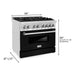 ZLINE 36 in. Professional Dual Fuel Range with Gas Burner and Electric Oven