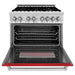 ZLINE 36 in. Professional Dual Fuel Range with Gas Burner and Electric Oven