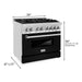 ZLINE 36 in. Professional Dual Fuel Range with Gas Burner and Electric Oven In Stainless Steel RA-BLM-36