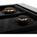 ZLINE 36 in. Professional Dual Fuel Range with Gas Burner and Gas Oven