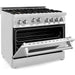 ZLINE 36 in. Professional Dual Fuel Range with Gas Burner and Gas Oven In Stainless Steel with Brass Burners RG-BR-36