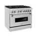 ZLINE 36 in. Professional Gas Burner/Electric Oven Stainless Steel Range with Brass Burners RA-BR-36