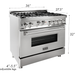 ZLINE 36 in. Professional Gas Range In Stainless Steel with DuraSnow Finish Door RG-SN-36