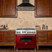 ZLINE 36 in. Professional Gas Range in Stainless Steel with Red Gloss Door RG-RG-36