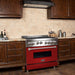 ZLINE 36 in. Professional Gas Range In Stainless Steel with Red Matte Door RG-RM-36