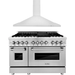 ZLINE 48 in. Dual Fuel Range and 48 in. Range Hood Appliance Package 2KP-RARH48