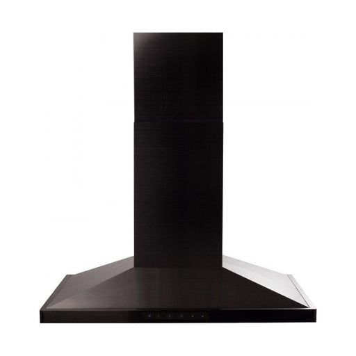 ZLINE 48 in. Island Mount Range Hood In Black Stainless Steel BSGL2iN-48