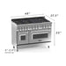 ZLINE 48 in. Professional Dual Fuel Range with Gas Burner and Electric Oven In Stainless Steel with White Matte Door RA-WM-48