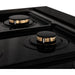 ZLINE 48 In. Rangetop In Black Stainless Steel With 7 Gas Brass Burners, RTB-BR-48