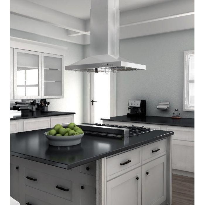 ZLINE 48 in. Remote Dual Blower Stainless Island Range Hood GL2i-RD-48