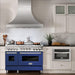 ZLINE 48 Inch 6.0 cu. ft. Range with Gas Stove and Gas Oven In Stainless Steel and Blue Matte Door RG-BM-48