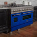 ZLINE 48-Inch Professional Dual Fuel Range In DuraSnow Stainless with Blue Matte Door RAS-BM-48