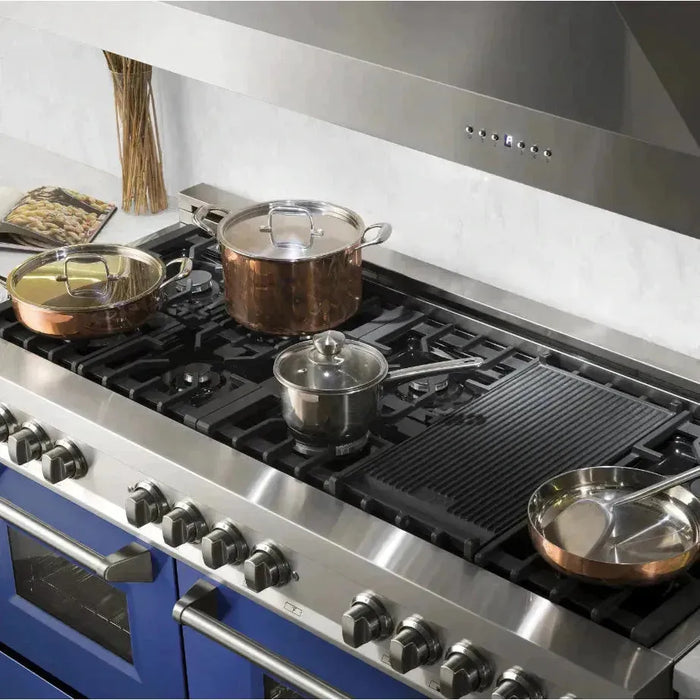 ZLINE 60 In. Professional Dual Fuel Range in DuraSnow® Stainless Steel with Blue Gloss Door, RAS-BG-60