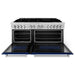 ZLINE 60 In. Professional Dual Fuel Range in Stainless Steel with Blue Gloss Door, RA-BG-60