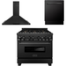 ZLINE Appliance Package - 36 In. Dual Fuel Range, Range Hood, Dishwasher in Black Stainless Steel, 3KP-RABRH36-DWV