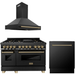 ZLINE Autograph Package - 48 In. Dual Fuel Range, Range Hood and Dishwasher in Black Stainless Steel with Champagne Bronze Accents, 3AKPR-RABRHDWV48-CB